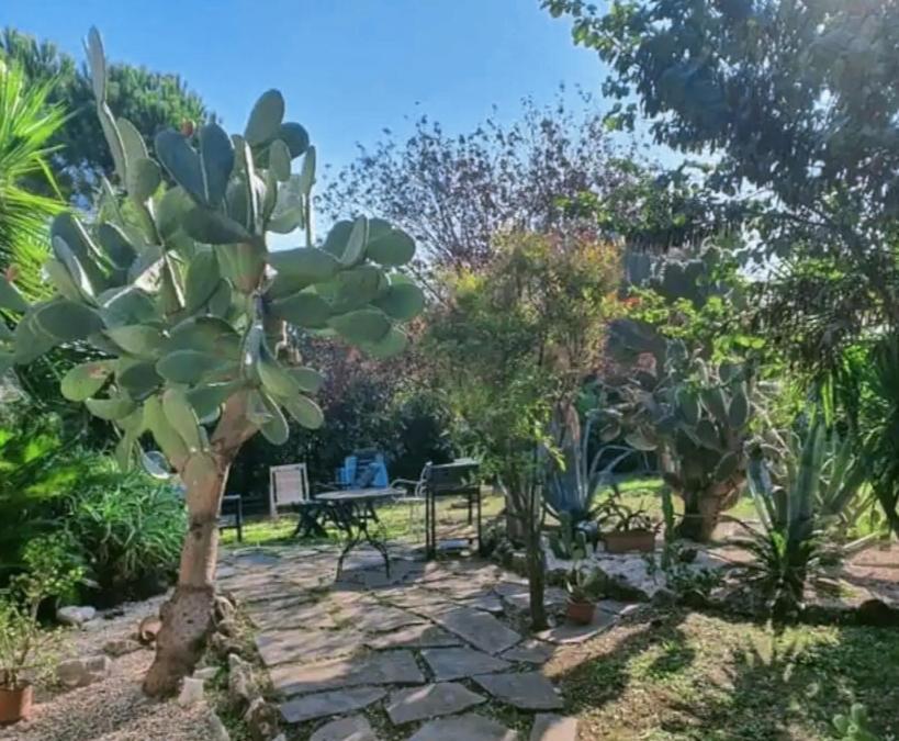 La Casa Di Fede Lanuvio Exterior foto